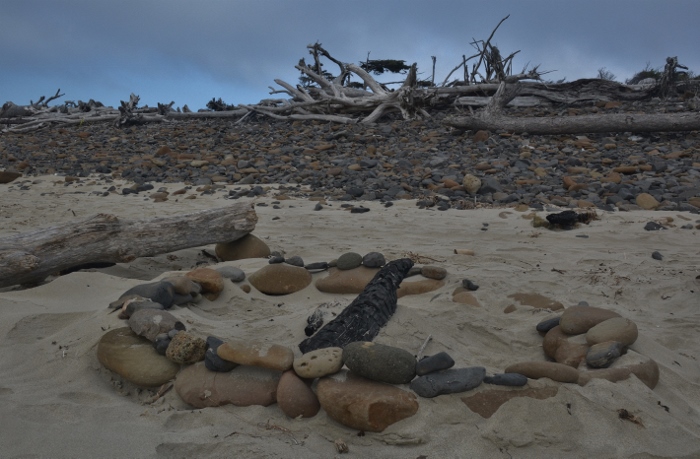 driftwood on Cape Meares Beach